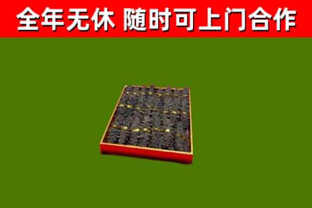 新蔡回收海参